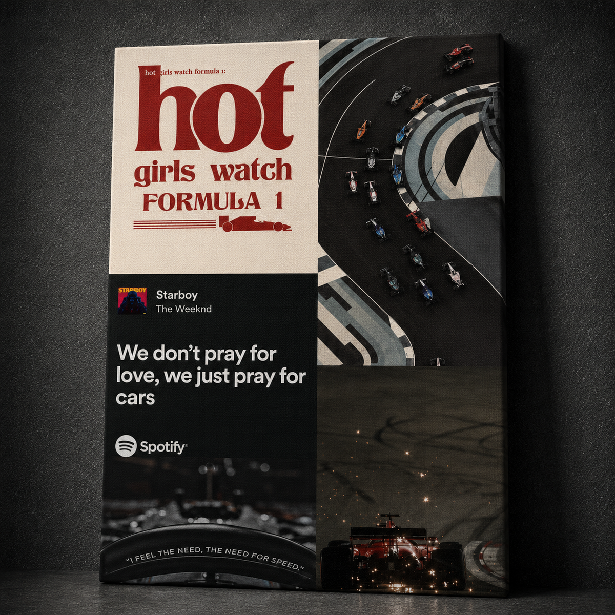 Hot Girls Watch Formula 1  | F1 & Speed Canvas 🏎️🔥